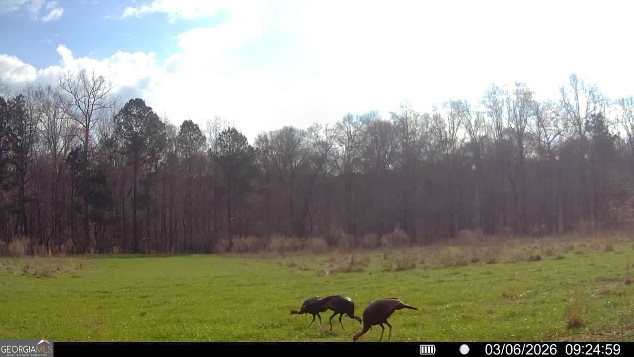 2190 Reese Road Rutledge - Photo 56