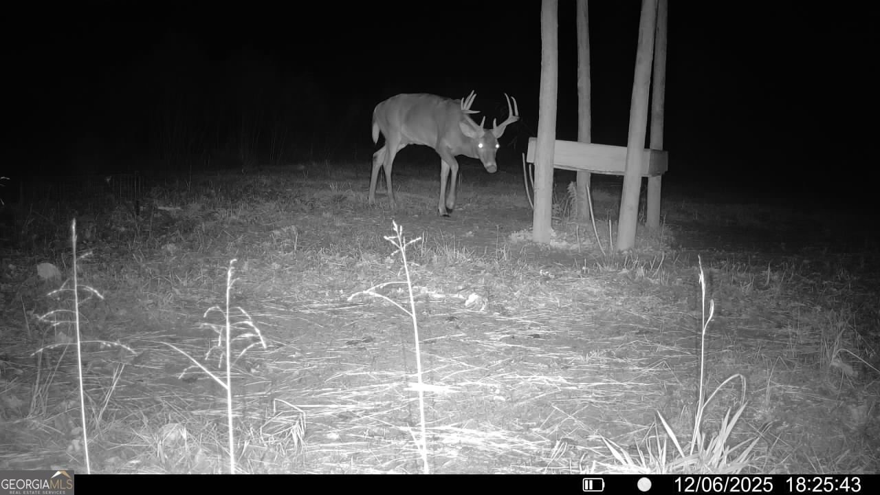 2190 Reese Road Rutledge - Photo 57