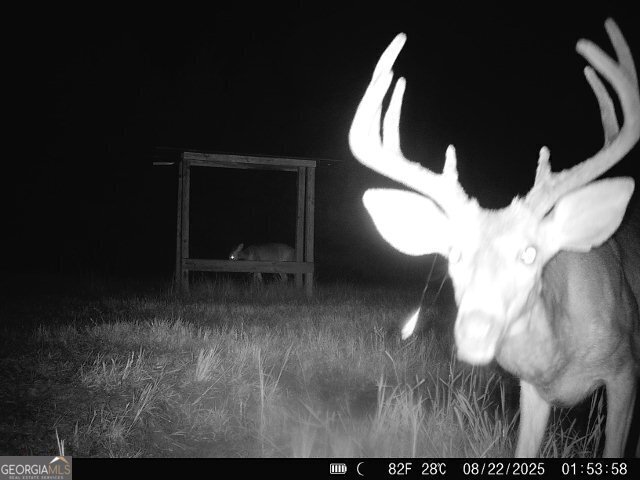 2190 Reese Road Rutledge - Photo 58