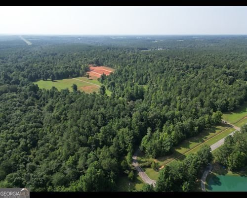 2190 Reese Road Rutledge - Photo 60