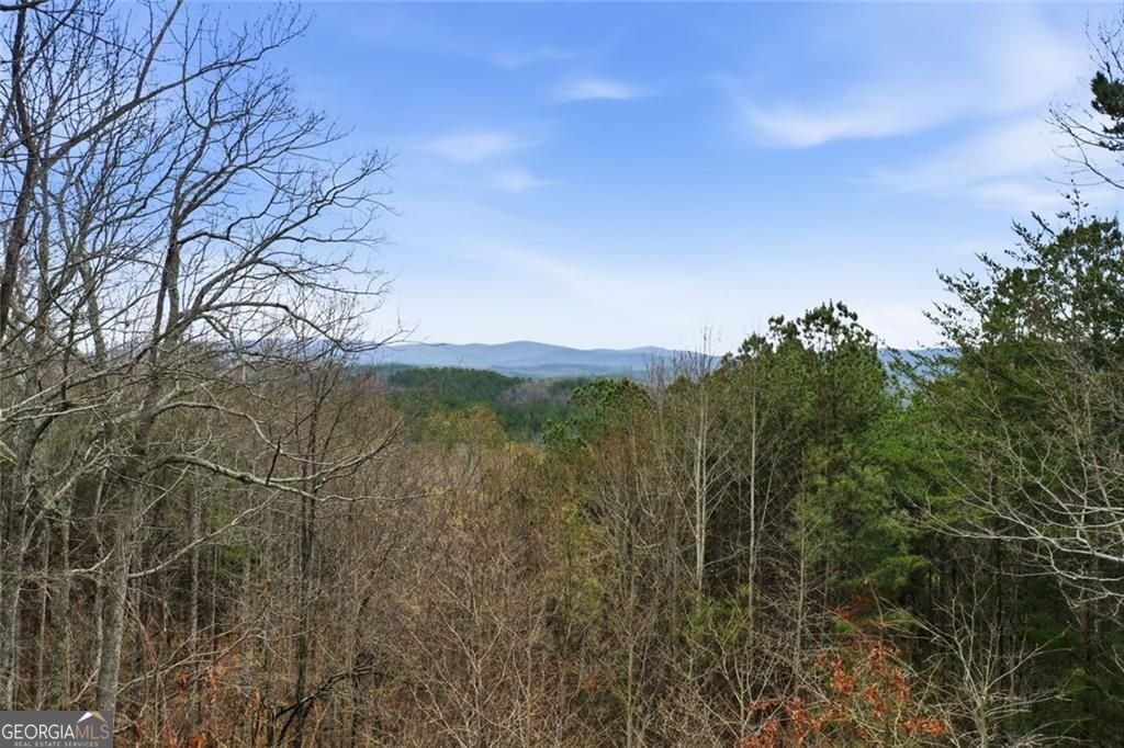 980 Cowart Mountain Trail Waleska - Photo 64