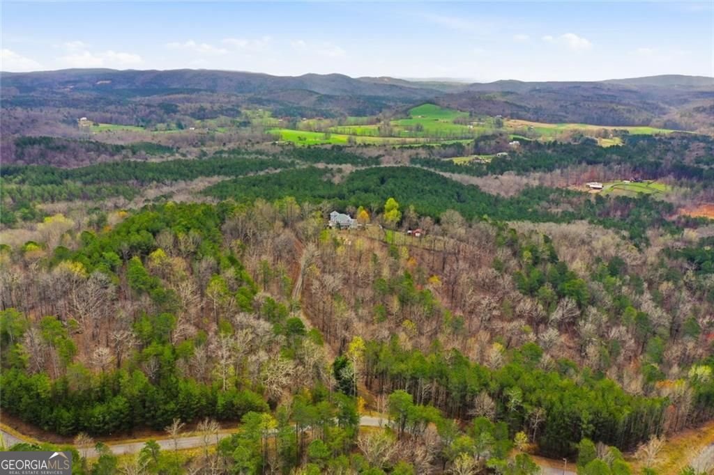 980 Cowart Mountain Trail Waleska - Photo 69