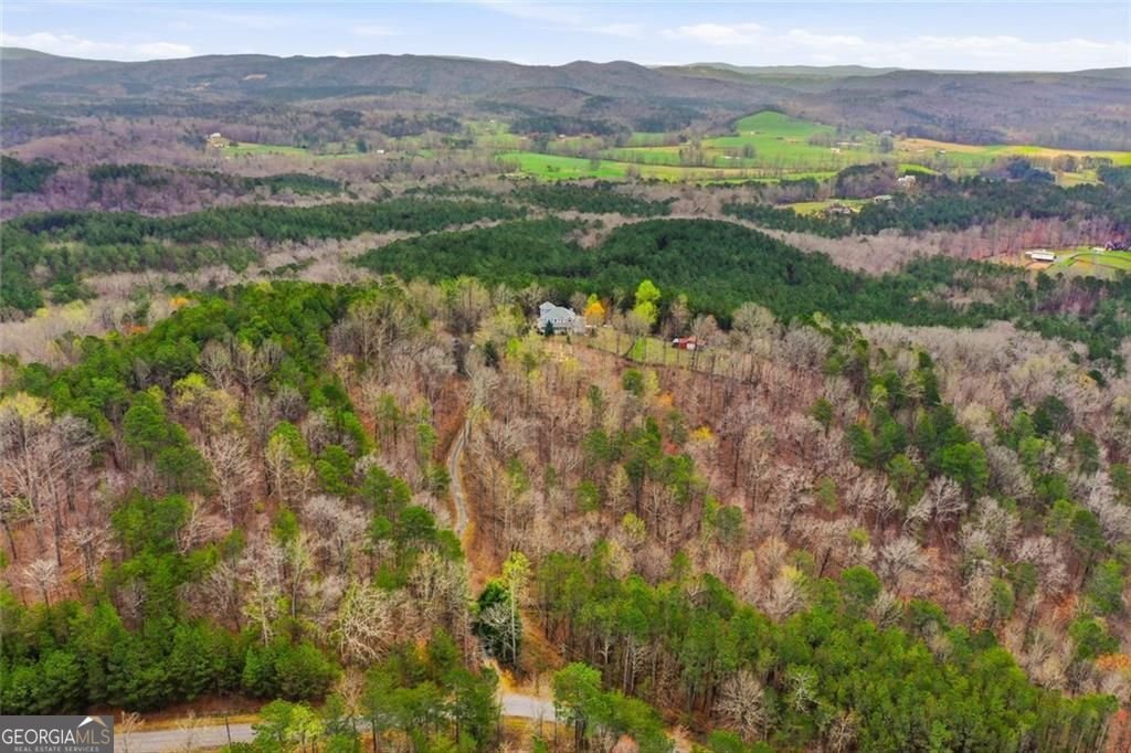 980 Cowart Mountain Trail Waleska - Photo 70