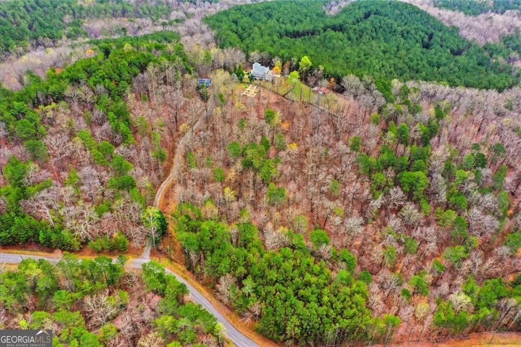 980 Cowart Mountain Trail Waleska - Photo 71