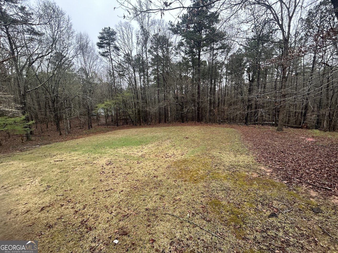 8896 Hickory Hollow Drive Douglasville - Photo 9