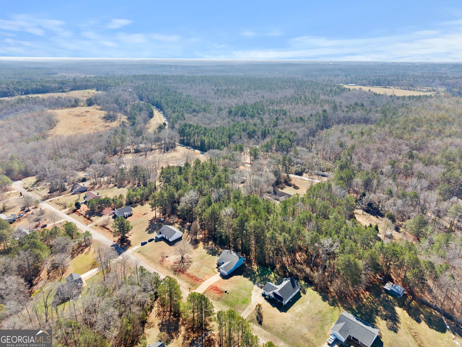 83 Sydney Woods Drive Forsyth - Photo 29