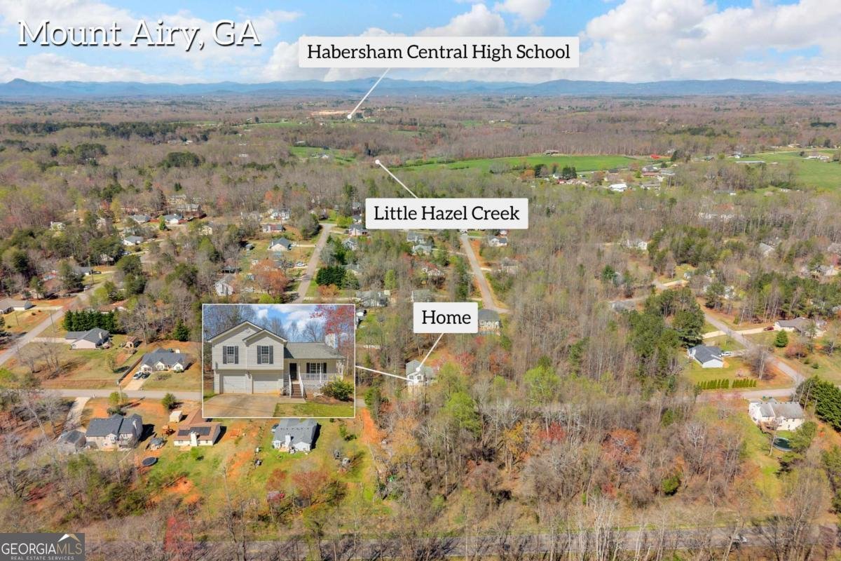 910 Ivy Hills Circle Mount Airy - Photo 39