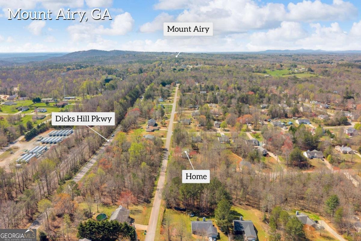 910 Ivy Hills Circle Mount Airy - Photo 40