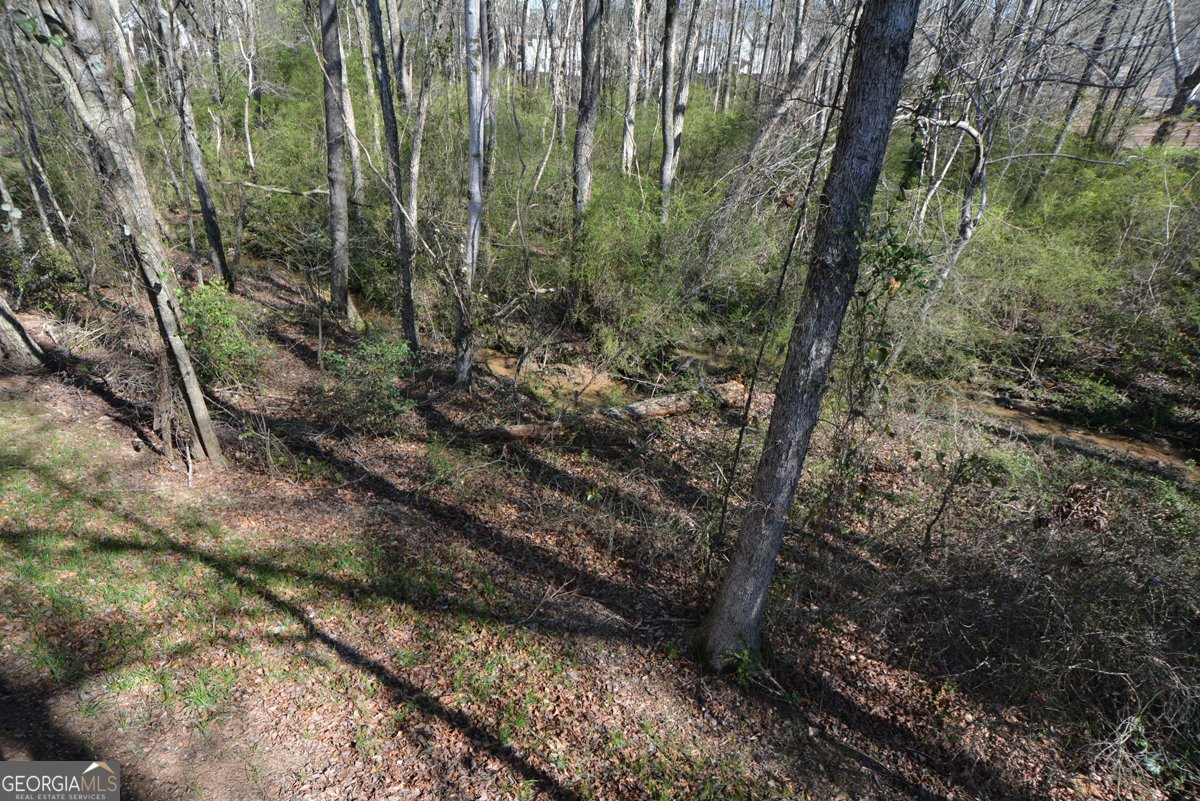 1816 Jessica Way Winder - Photo 71