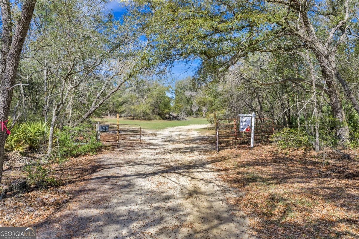 6501 Harley Trail Blackshear - Photo 56