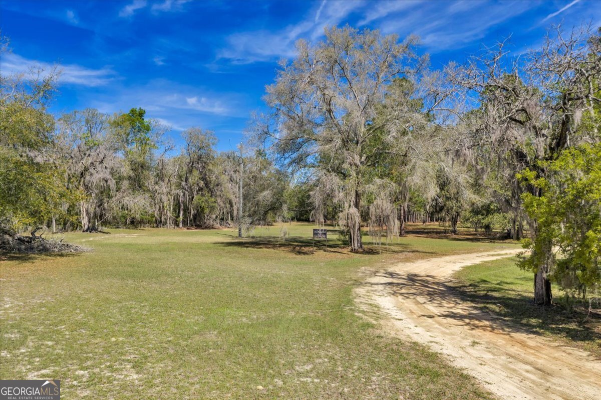 6501 Harley Trail Blackshear - Photo 57