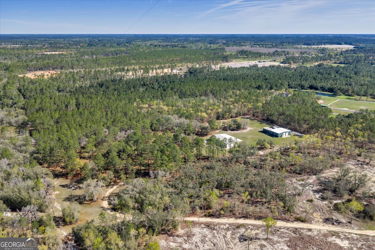 6501 Harley Trail Blackshear - Photo 59