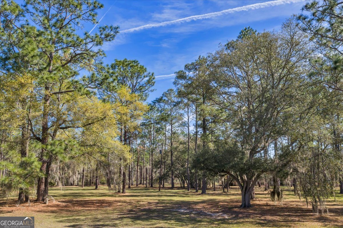 6501 Harley Trail Blackshear - Photo 61