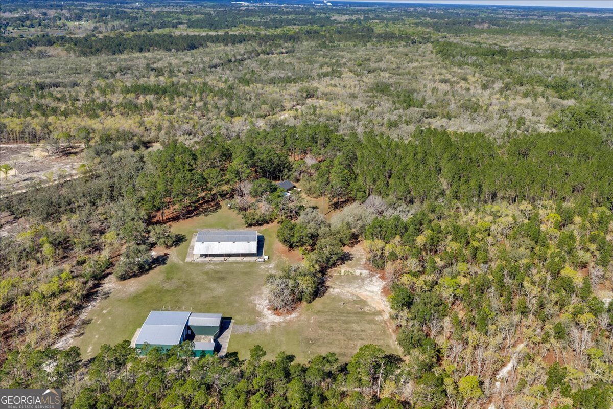 6501 Harley Trail Blackshear - Photo 63