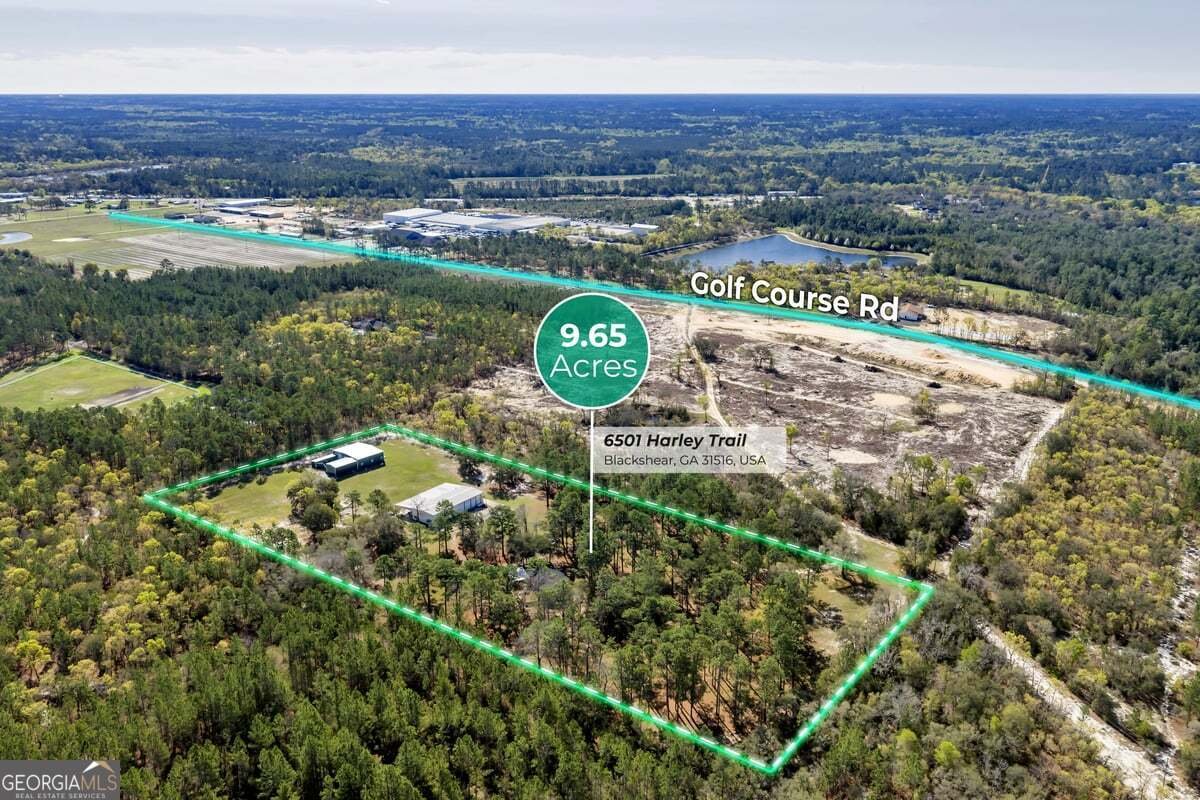 6501 Harley Trail Blackshear - Photo 65