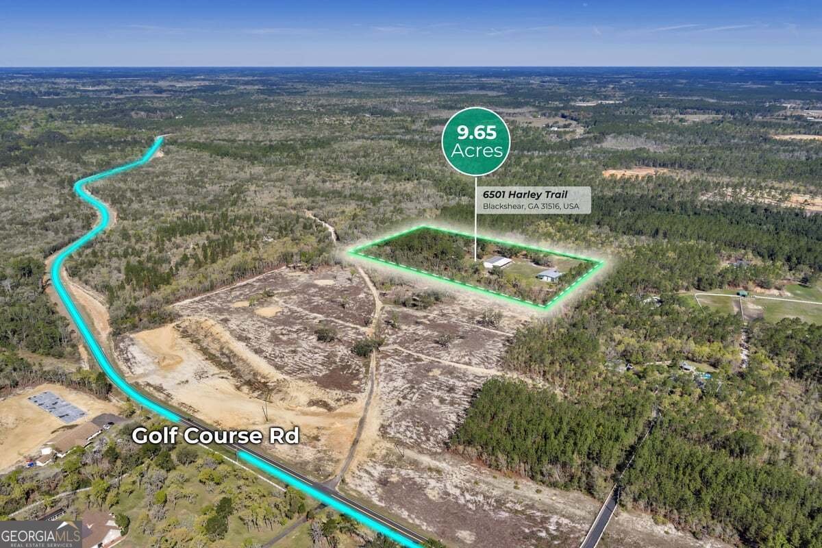 6501 Harley Trail Blackshear - Photo 66