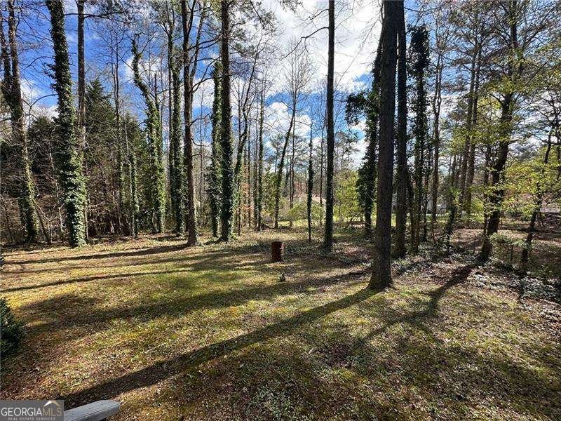 2972 Pathview Lane Marietta - Photo 41