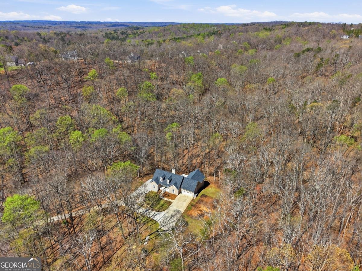3664 Mcever Lake Road Pendergrass - Photo 36