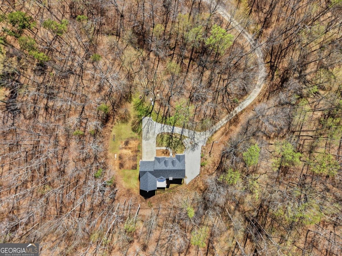 3664 Mcever Lake Road Pendergrass - Photo 37