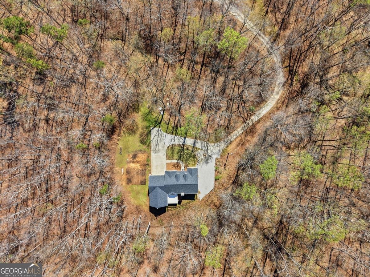 3664 Mcever Lake Road Pendergrass - Photo 38