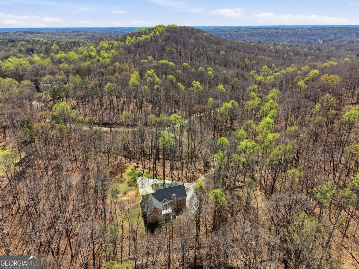 3664 Mcever Lake Road Pendergrass - Photo 39