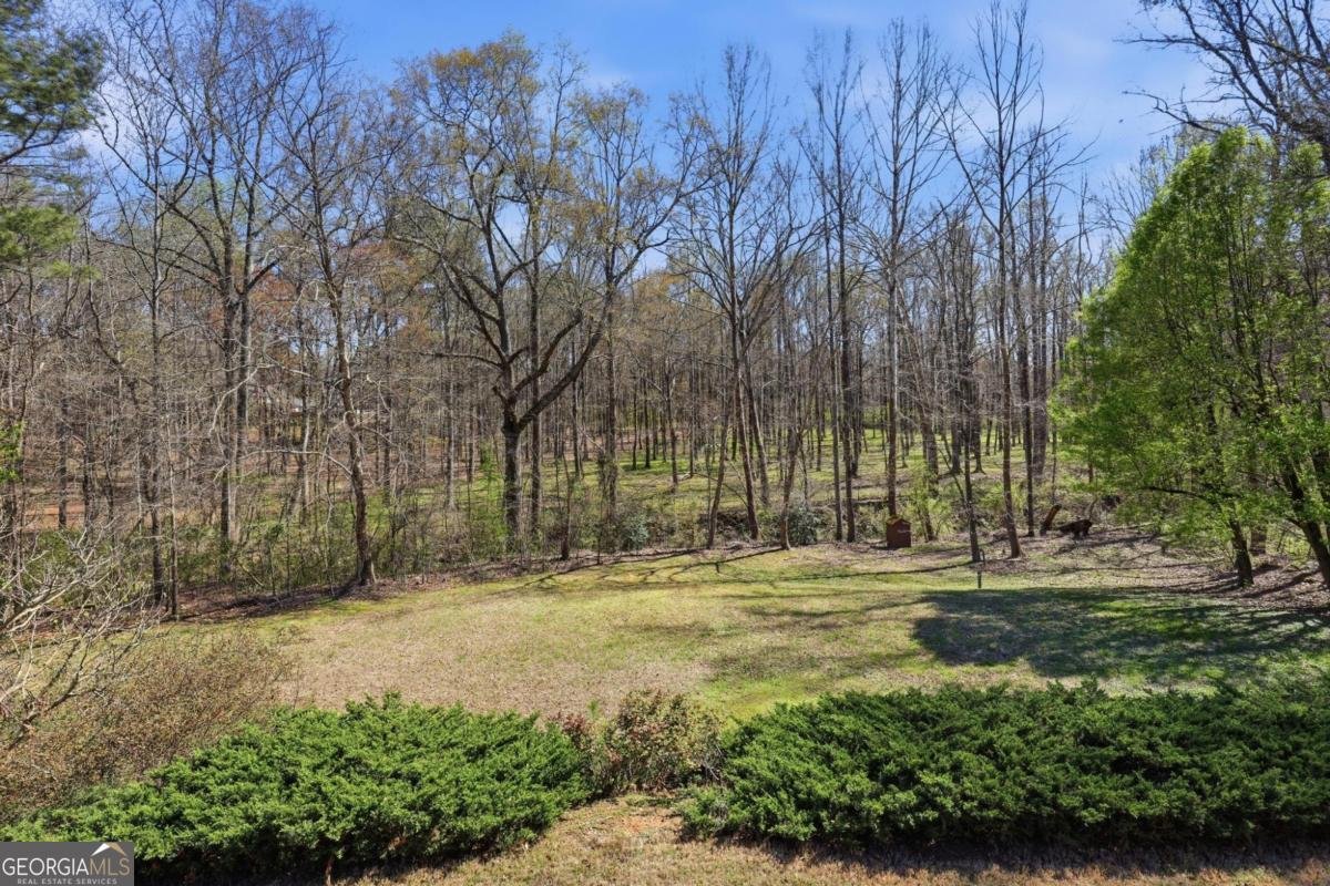 585 Ripplewater Drive Marietta - Photo 48