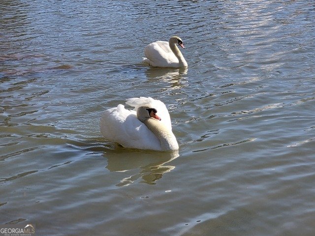 567 Lillian Way Jefferson - Photo 62