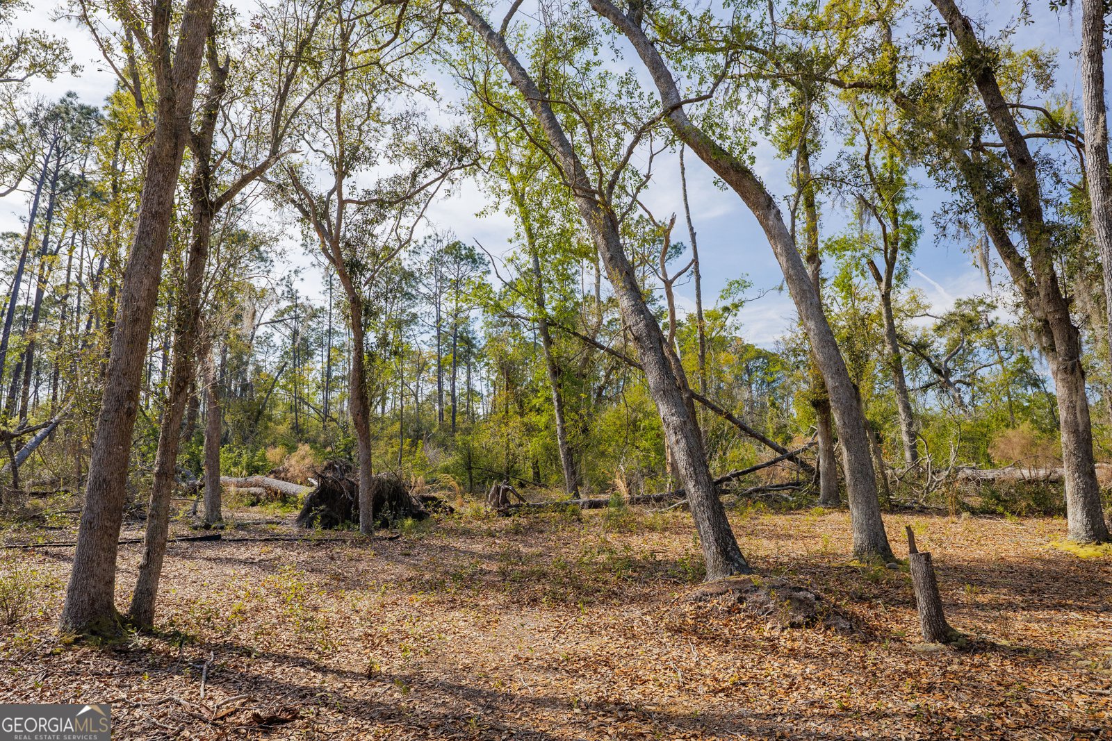 5536 Hickory Grove Road Valdosta - Photo 32
