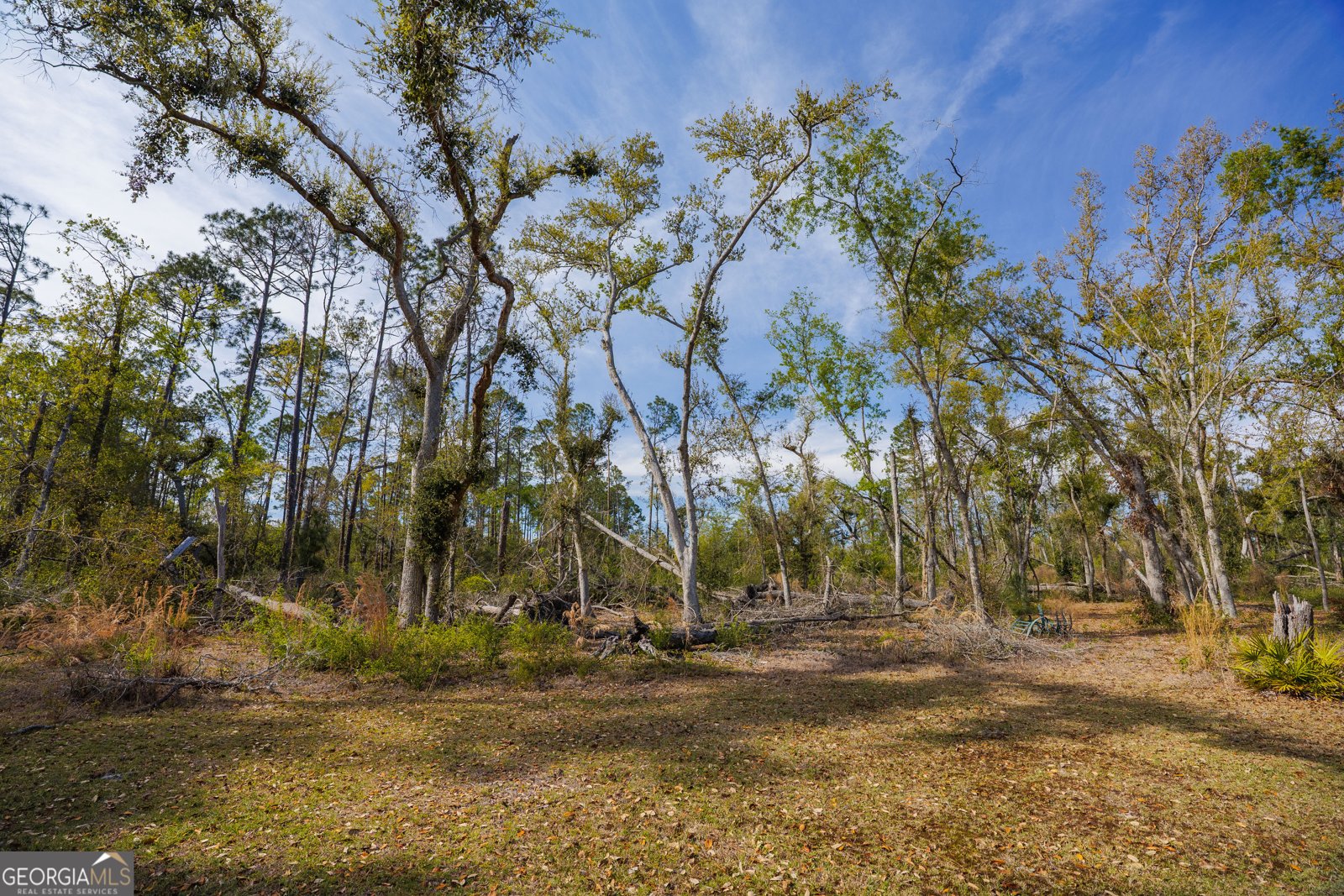 5536 Hickory Grove Road Valdosta - Photo 34