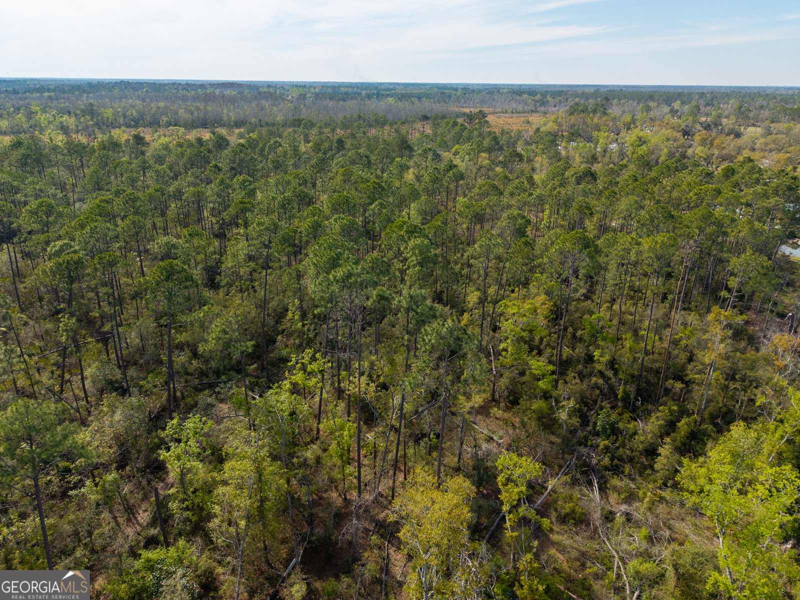 5536 Hickory Grove Road Valdosta - Photo 40