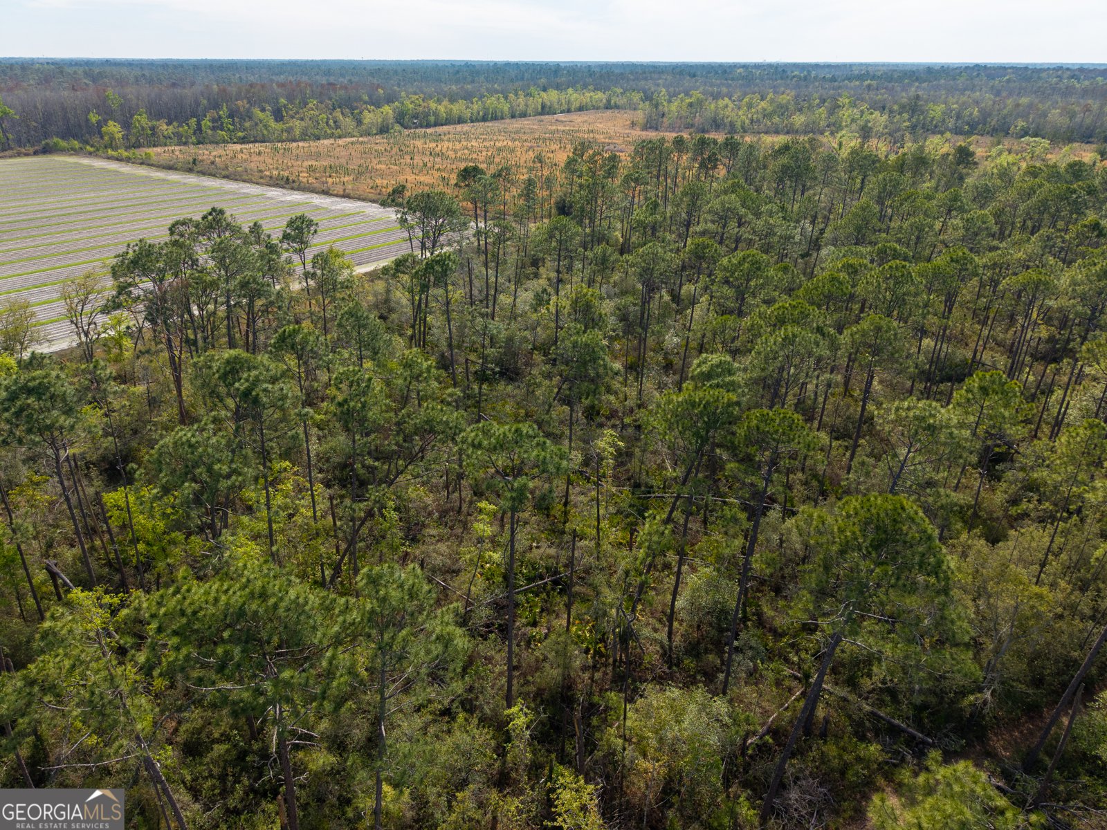5536 Hickory Grove Road Valdosta - Photo 41