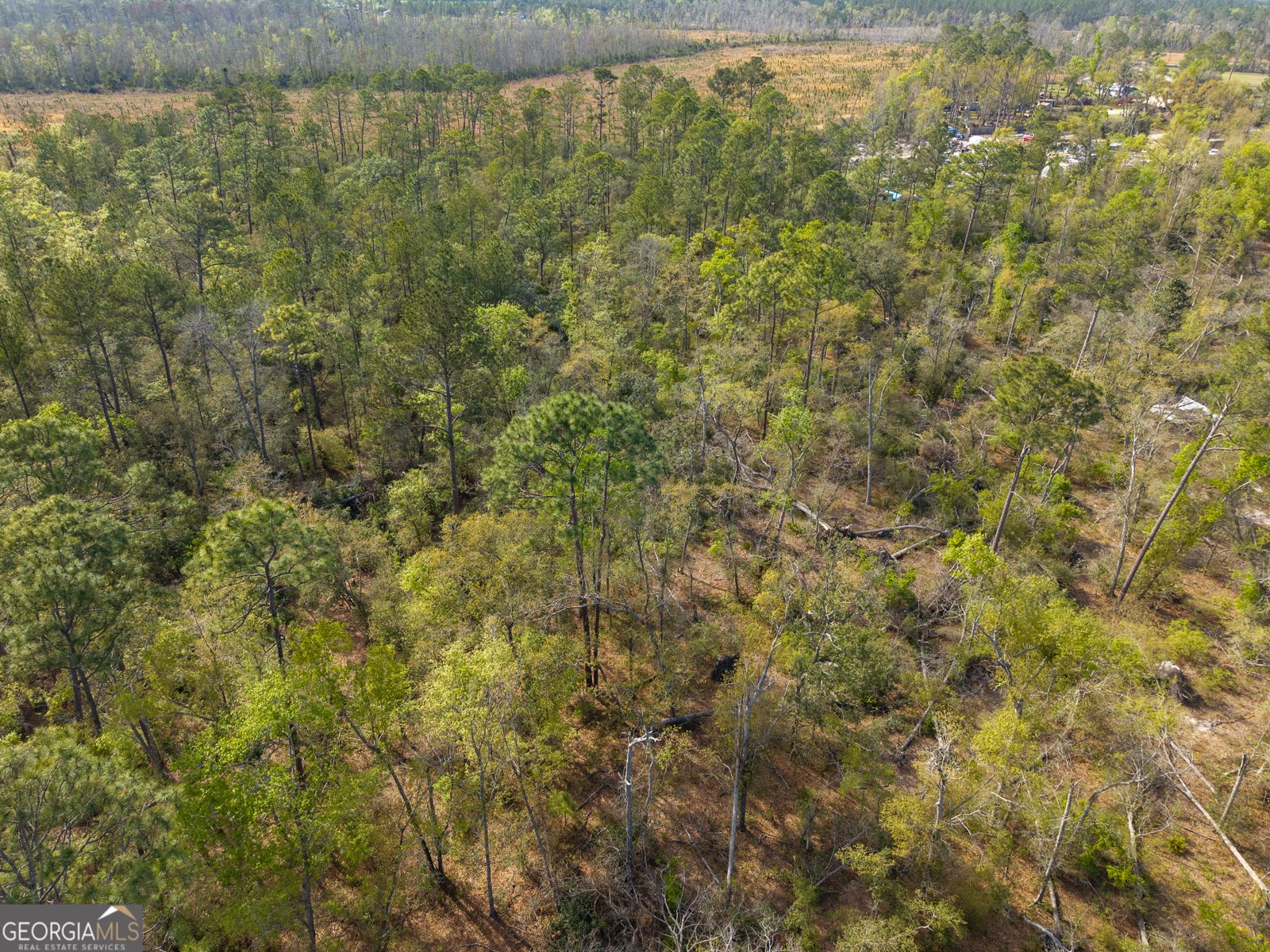 5536 Hickory Grove Road Valdosta - Photo 44