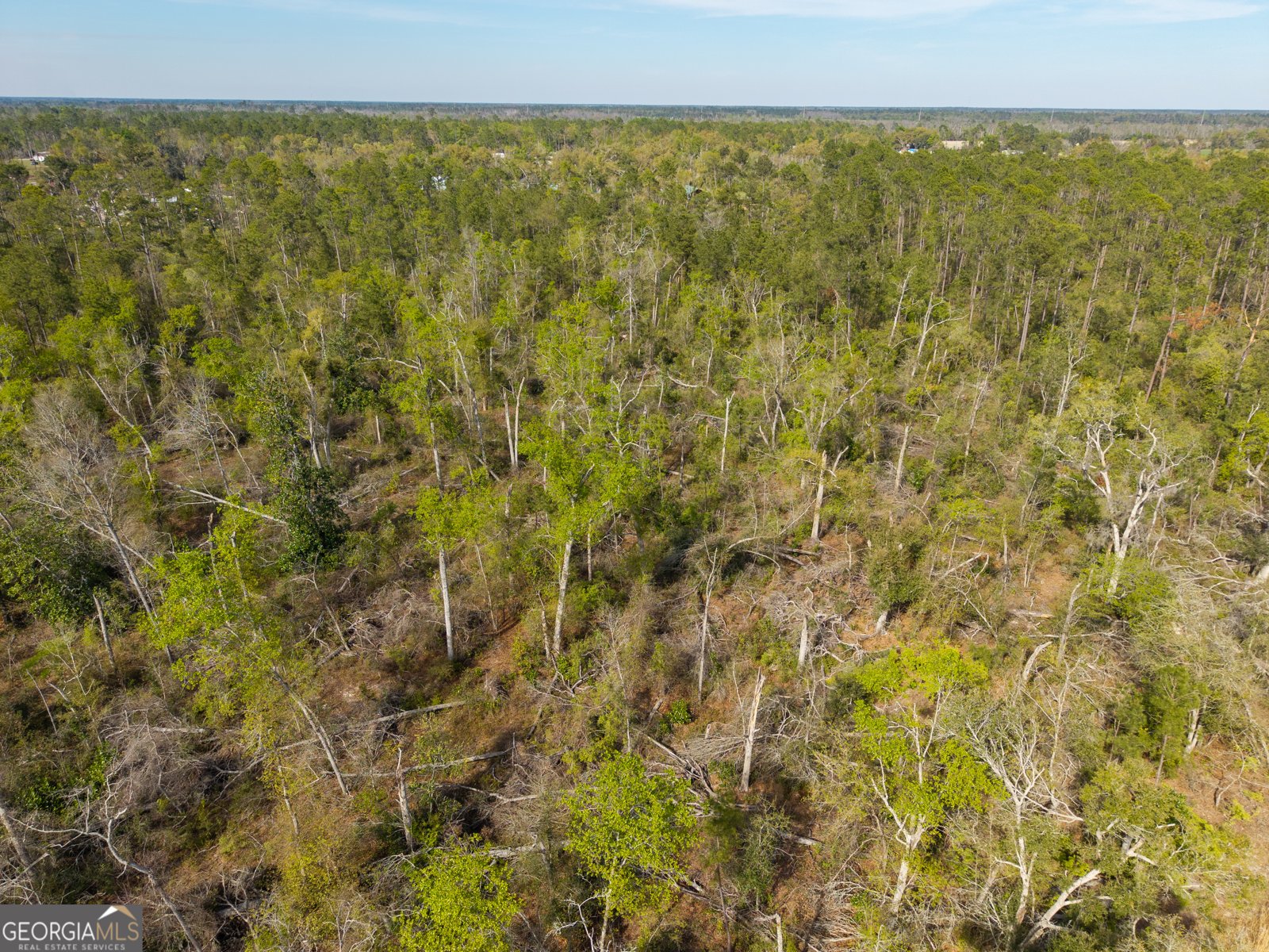 5536 Hickory Grove Road Valdosta - Photo 48