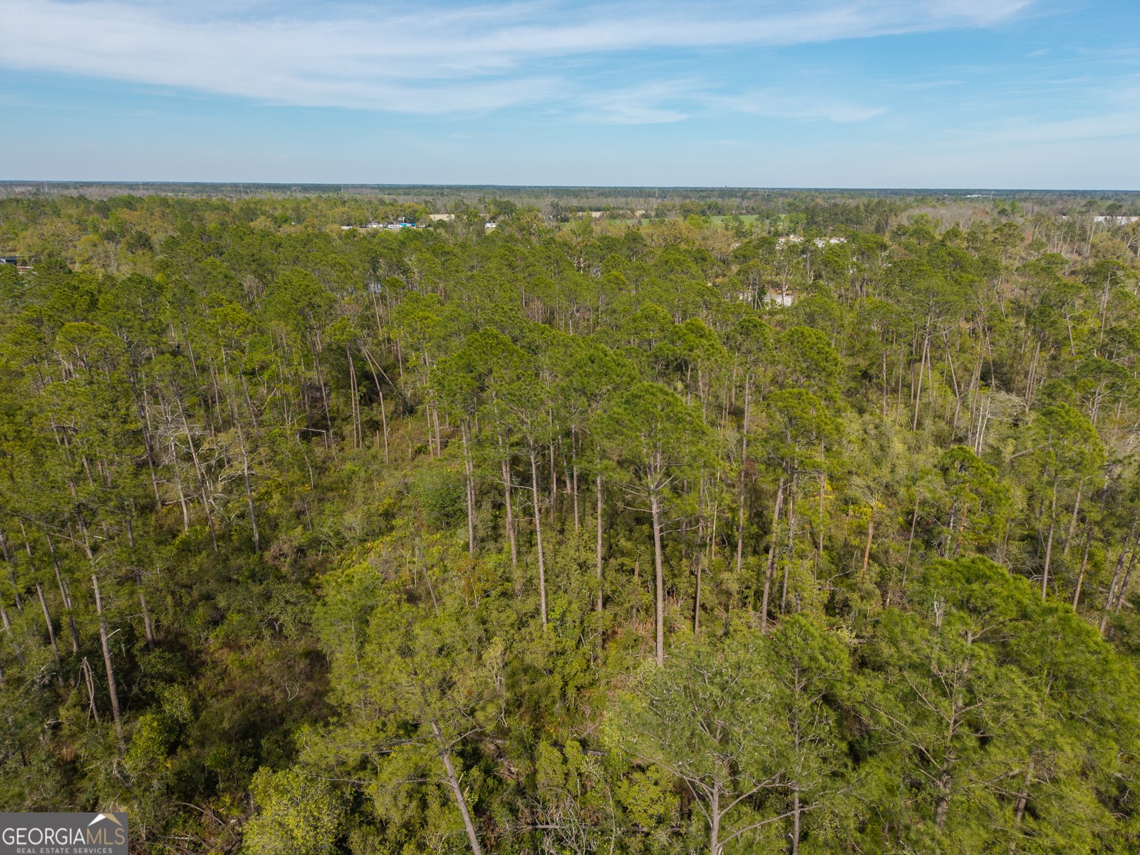 5536 Hickory Grove Road Valdosta - Photo 49