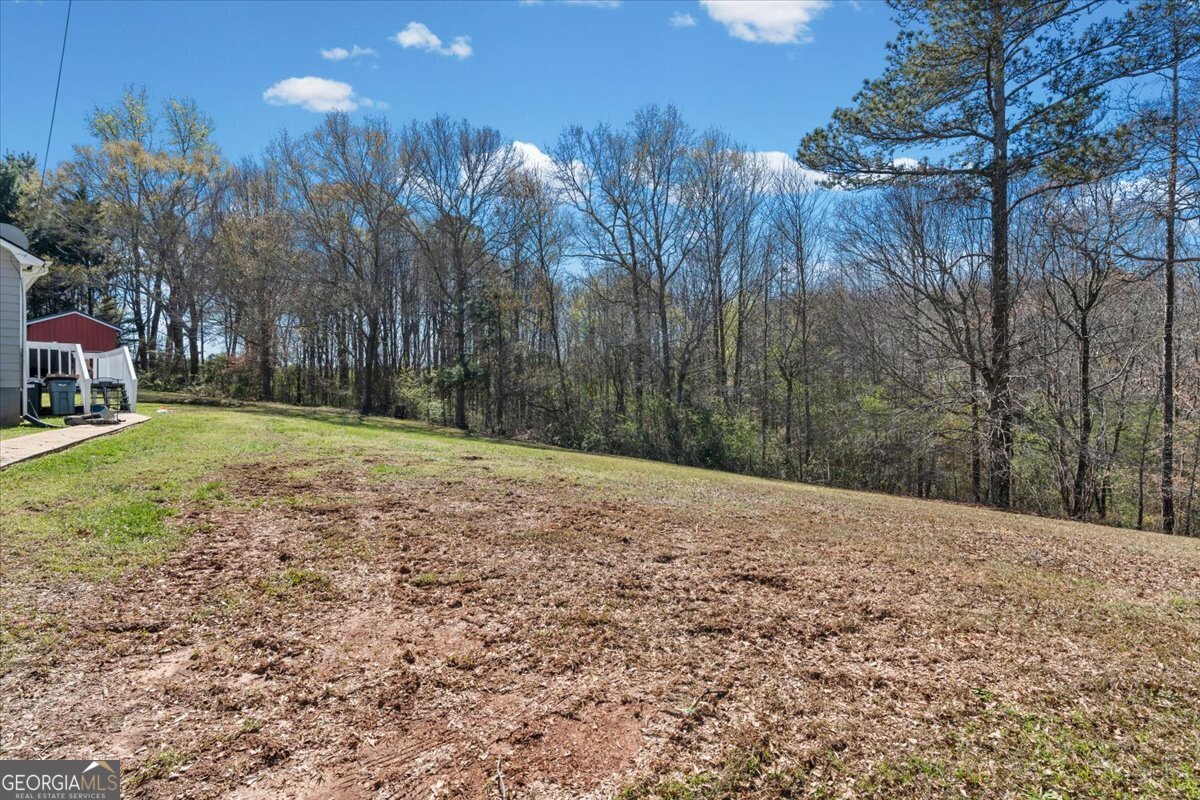 550 Stateline Road Bowdon - Photo 37