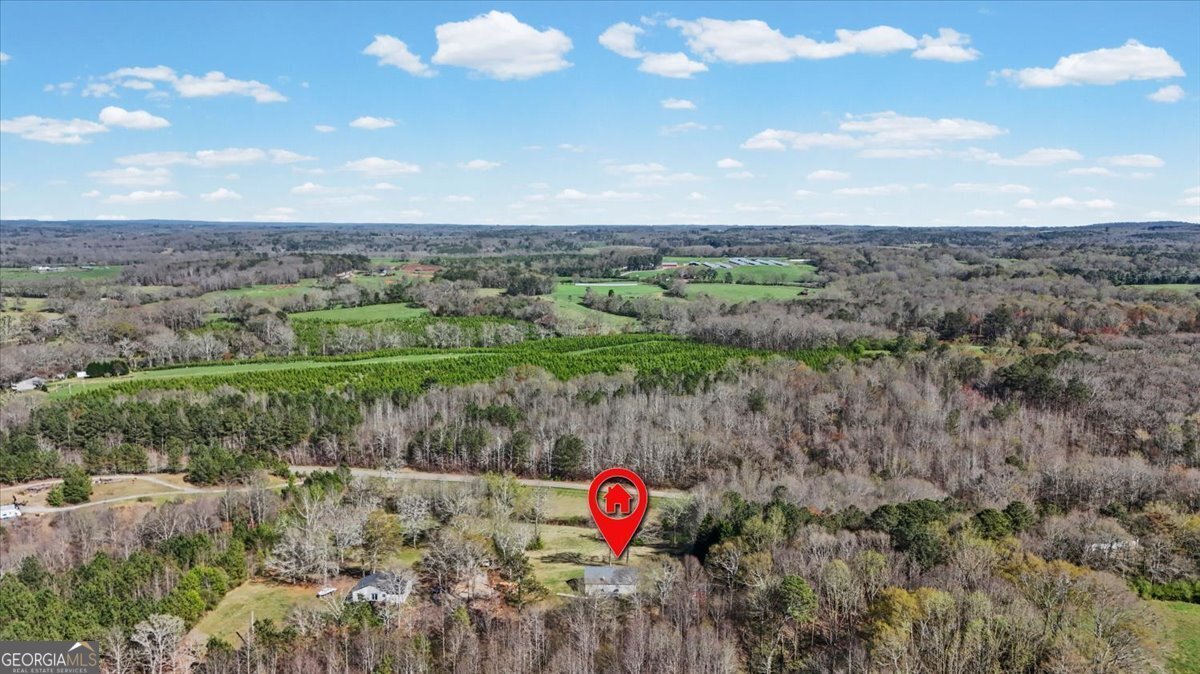 550 Stateline Road Bowdon - Photo 41