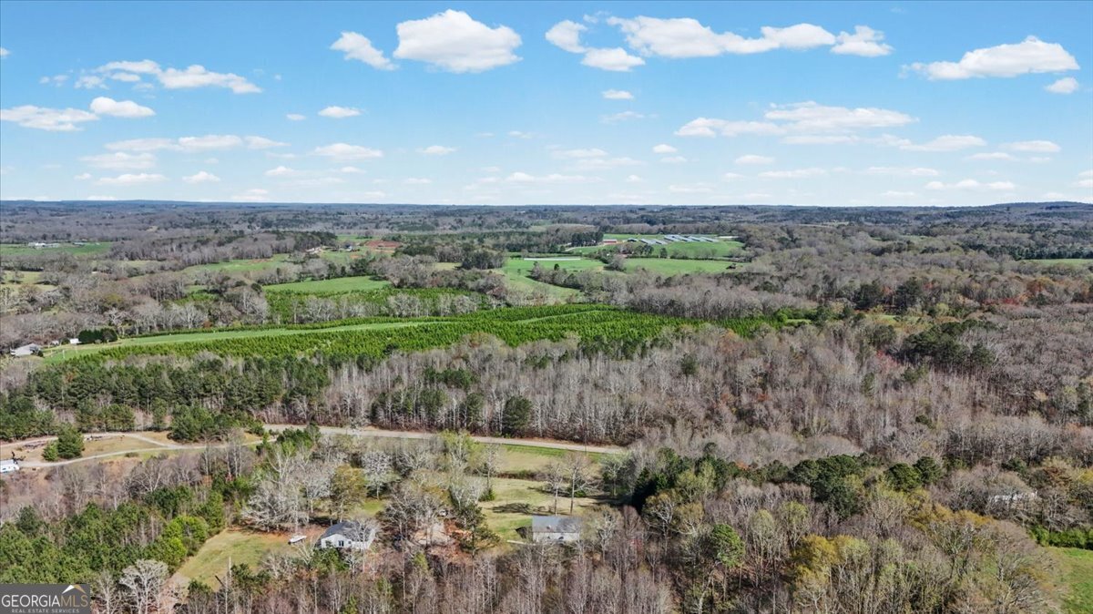 550 Stateline Road Bowdon - Photo 42