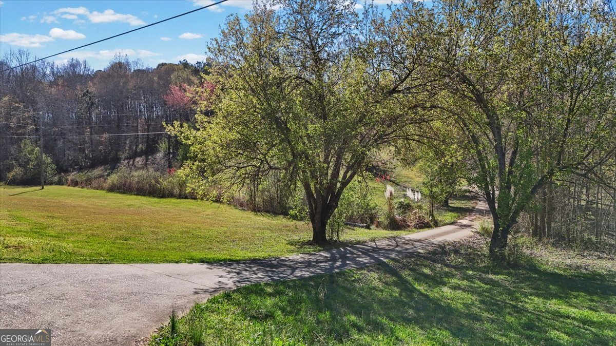 550 Stateline Road Bowdon - Photo 48