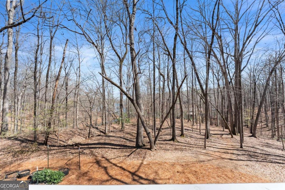 7265 Anglers Rest Road Dawsonville - Photo 24