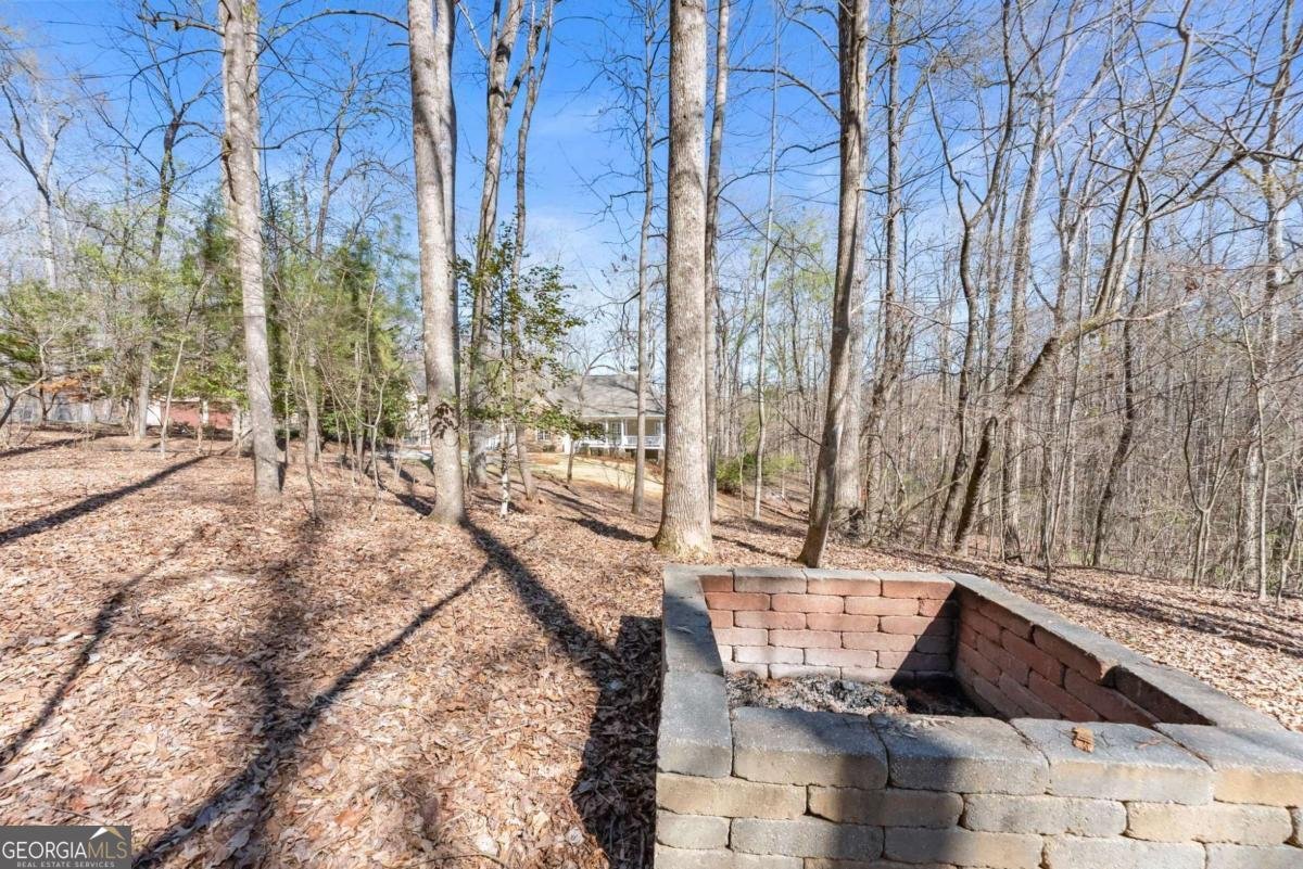 7265 Anglers Rest Road Dawsonville - Photo 54