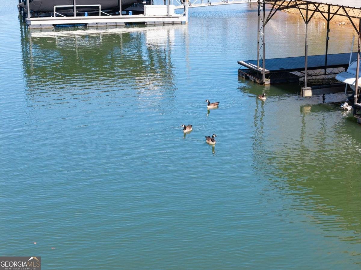 7265 Anglers Rest Road Dawsonville - Photo 57