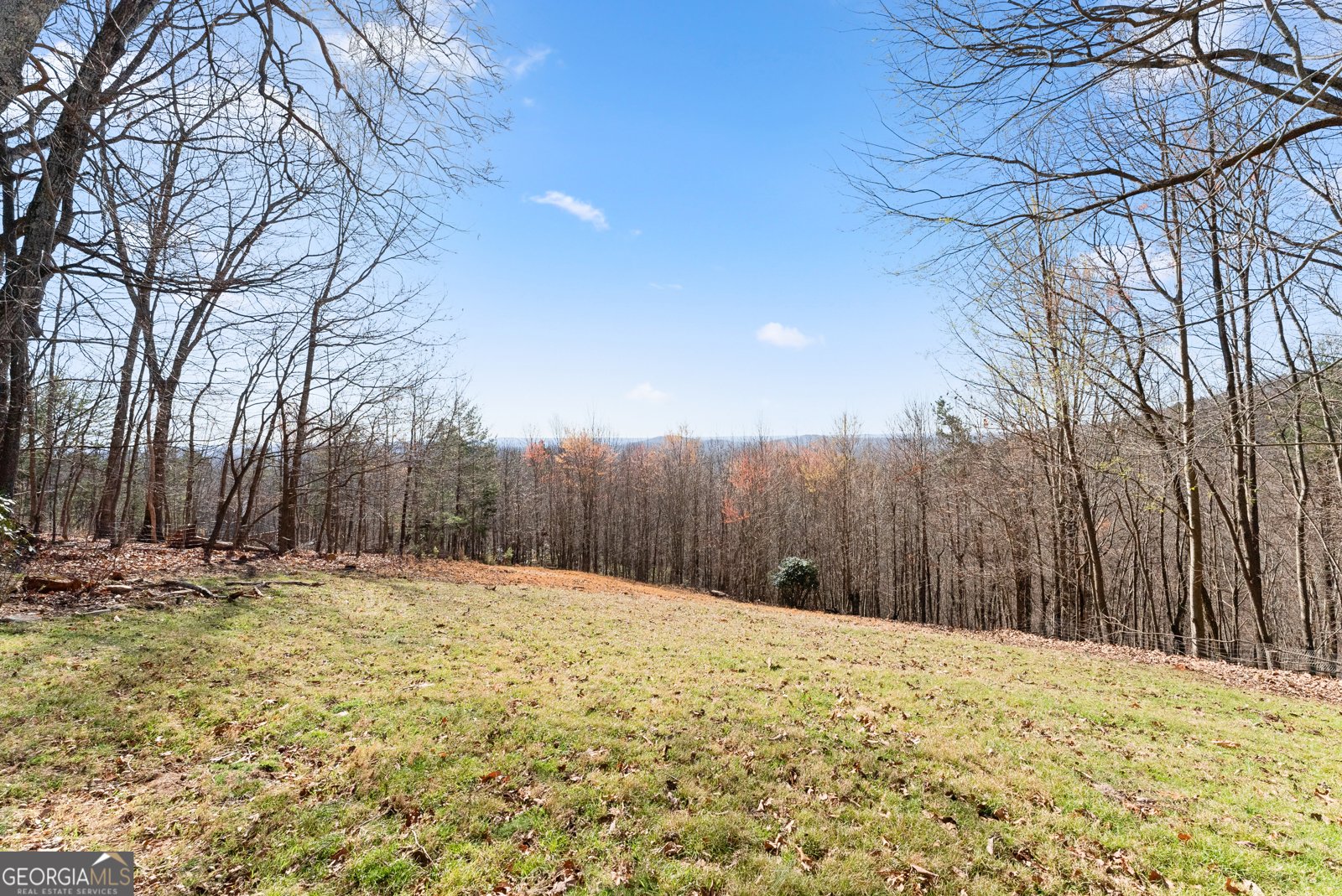 827 Laurel Ridge Road Cleveland - Photo 33