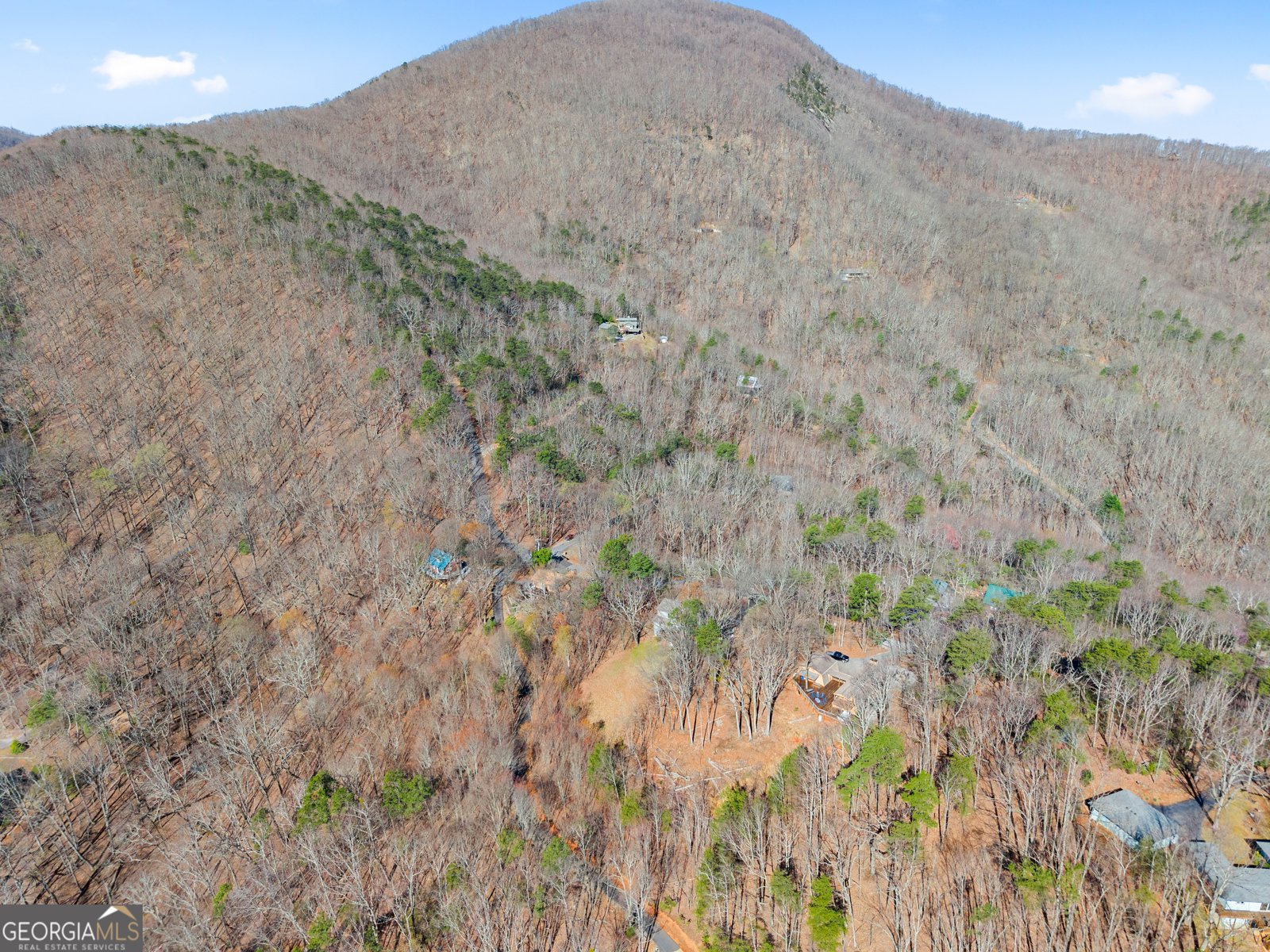 827 Laurel Ridge Road Cleveland - Photo 43