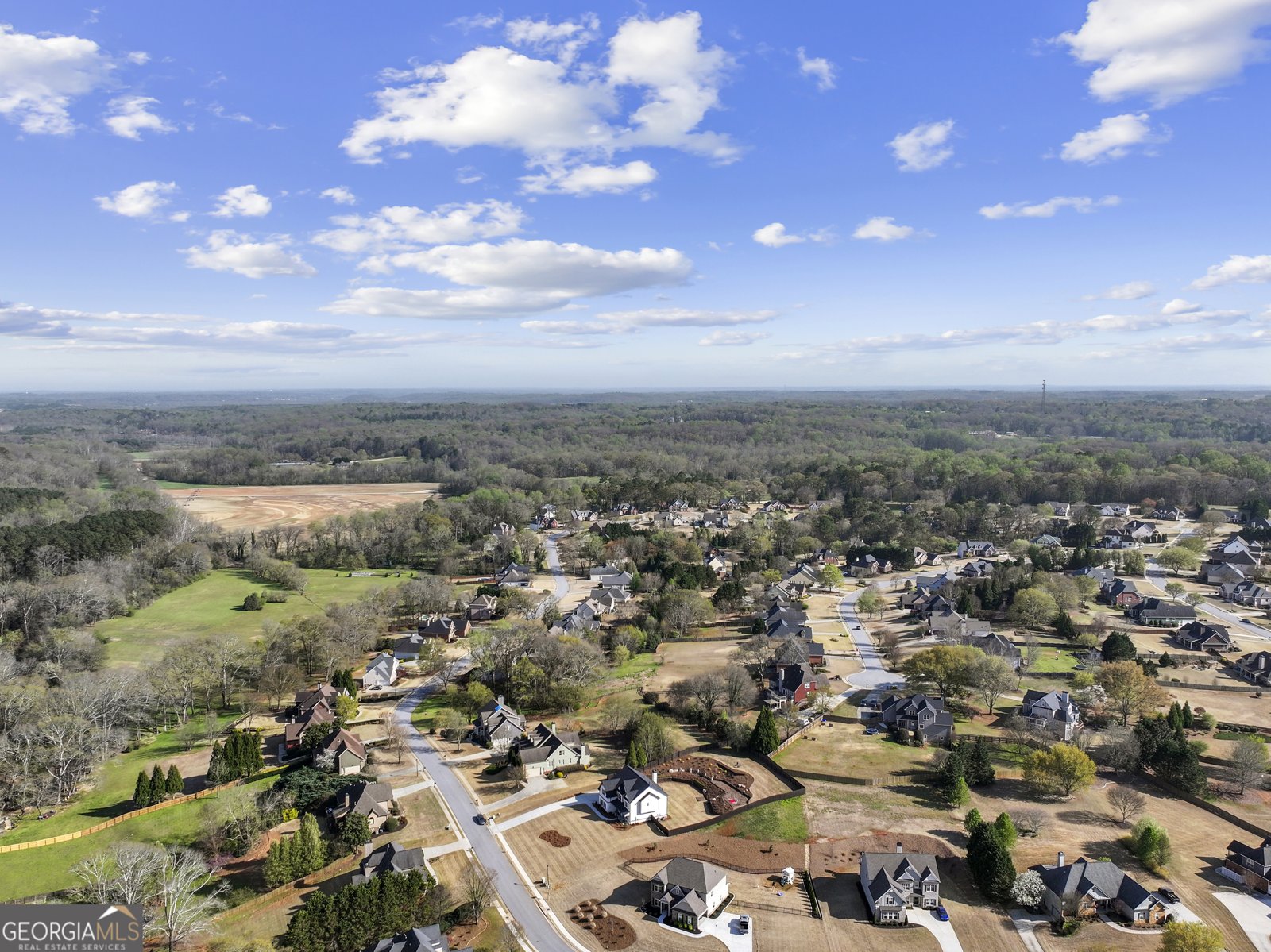 787 Reece Drive Hoschton - Photo 101