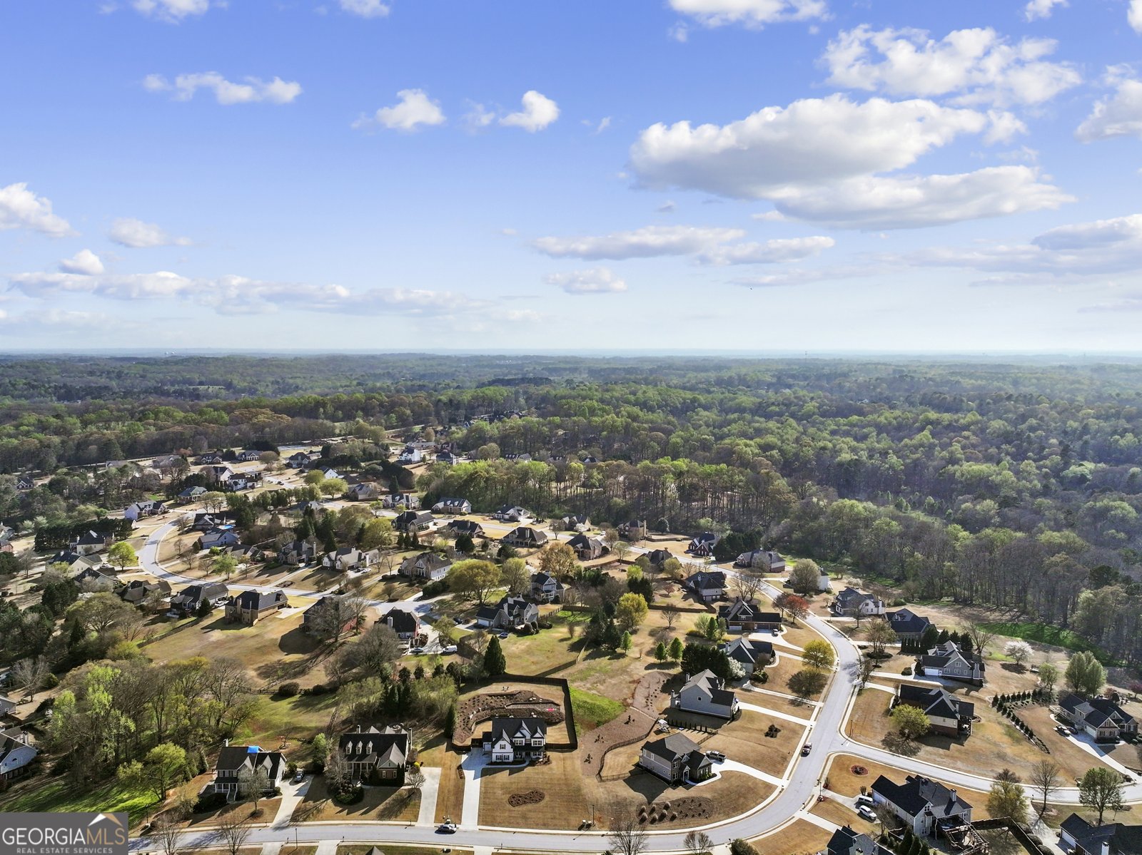 787 Reece Drive Hoschton - Photo 103