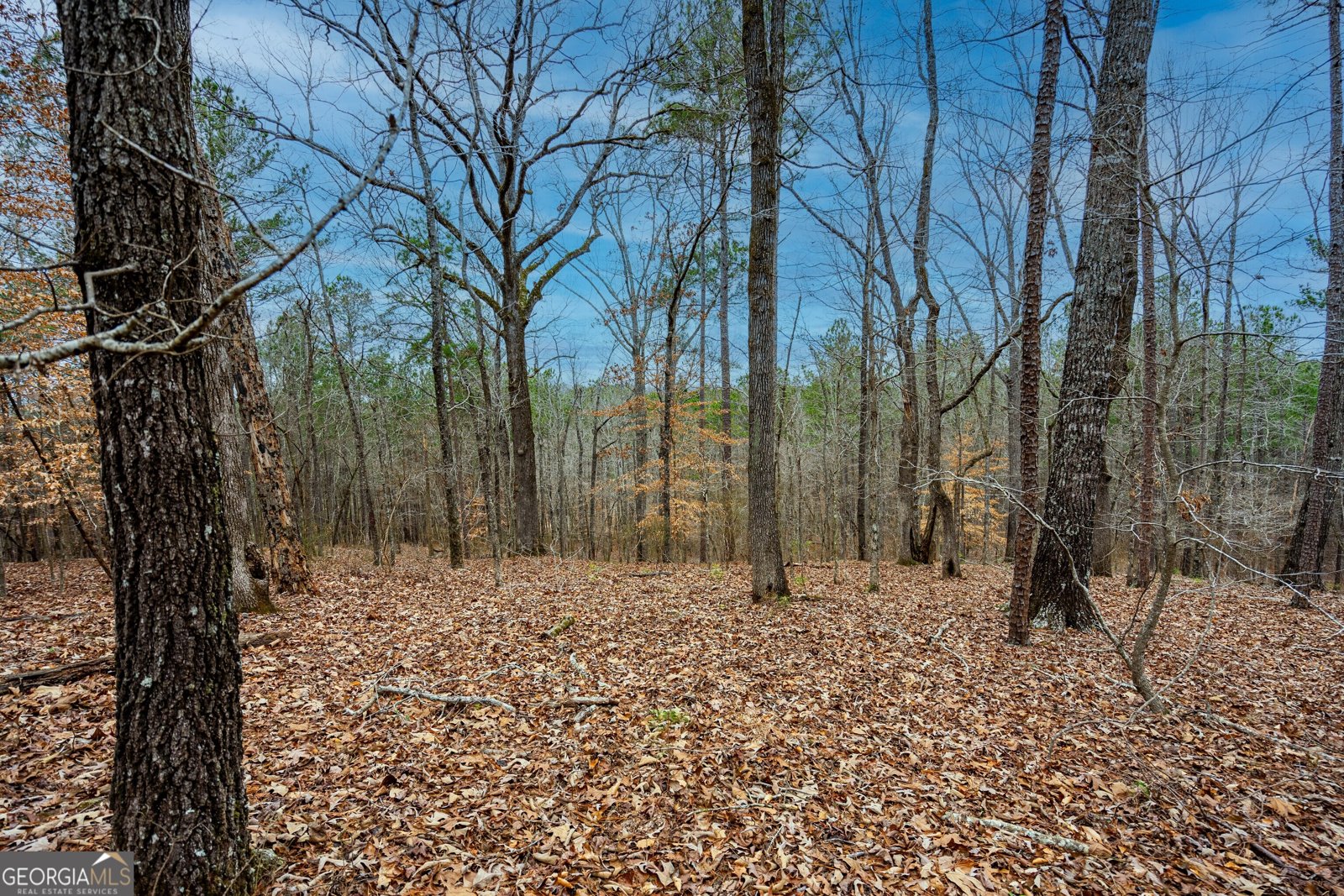 295 Ferrell Tatum Road Lagrange - Photo 27