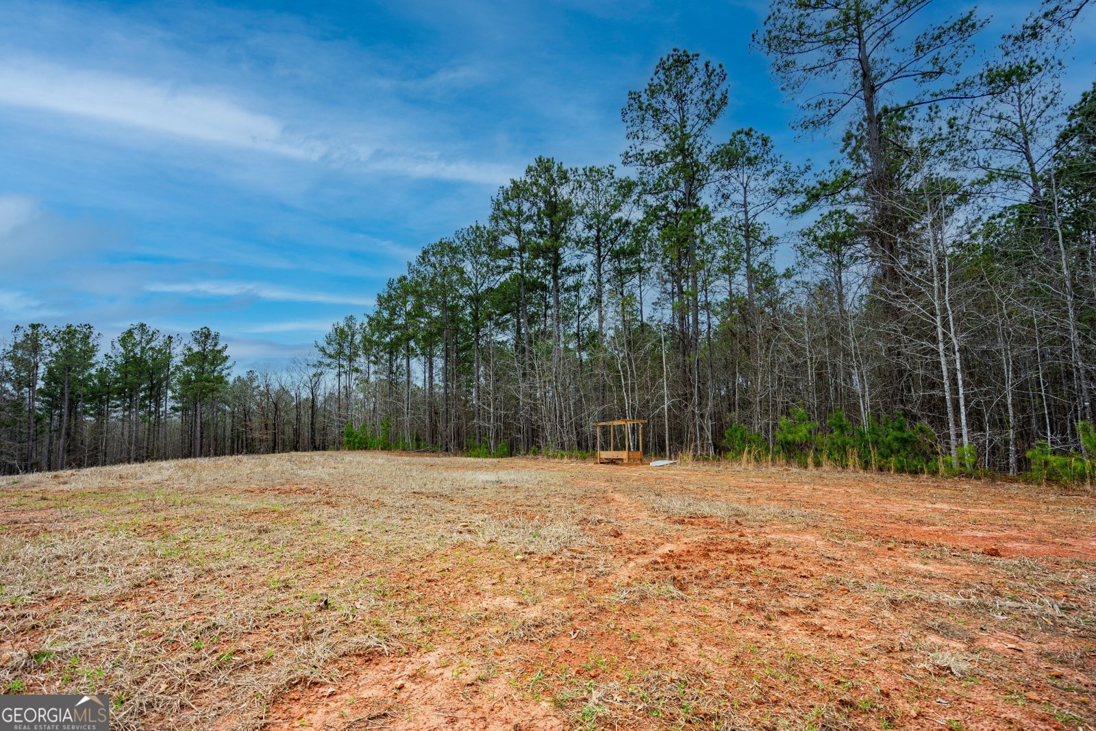 295 Ferrell Tatum Road Lagrange - Photo 31