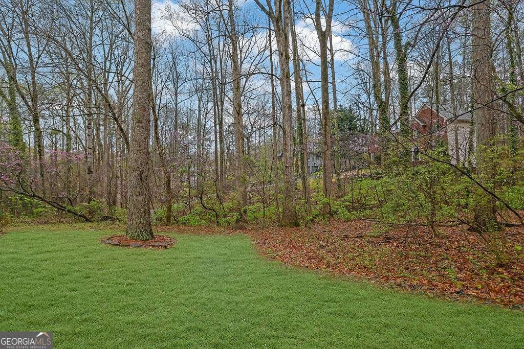 3089 Kaley Drive Kennesaw - Photo 36