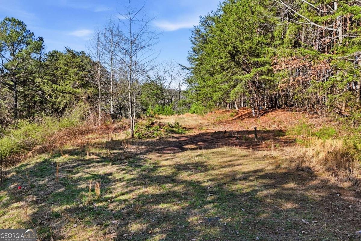 1139 Davis Road Fairmount - Photo 39