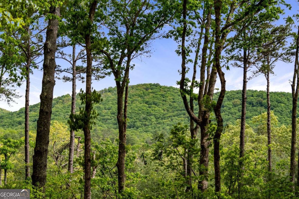 245 Old Anderson Creek Ellijay - Photo 27